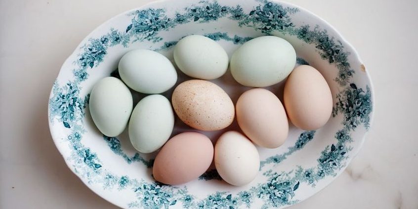 τελικά τα αυγά αυξάνουν την χοληστερίνη ;;;